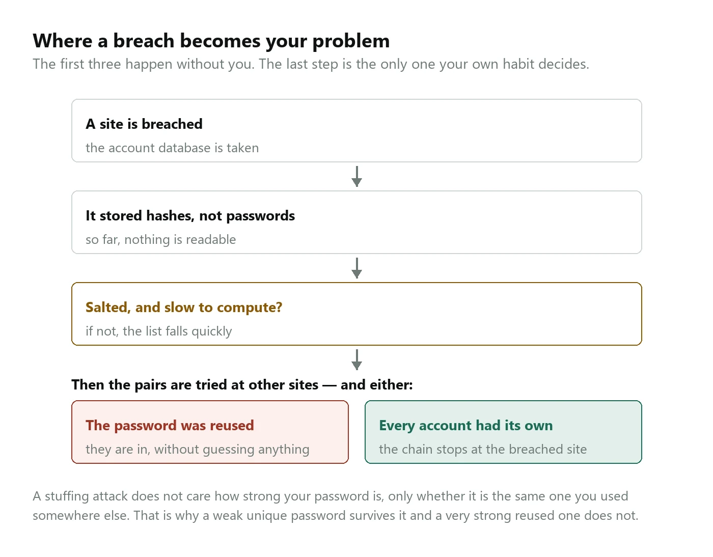 A diagram: a site is breached, it stored hashes rather than passwords, and whether those were salted and slow to compute decides how fast the list falls. Then the pairs are tried at other sites, and either the password was reused and they are in, or every account had its own and the chain stops.