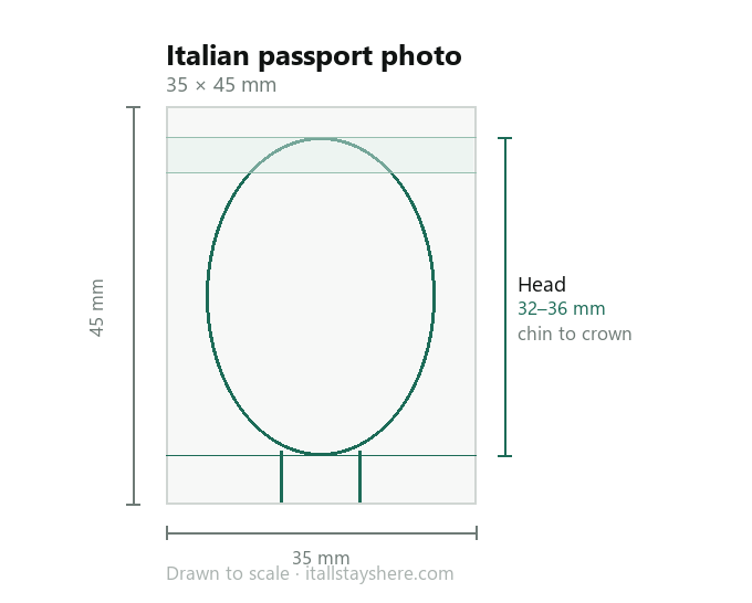 Diagram of a Italian passport photo drawn to scale: 35 × 45 mm, with the head measuring 32 to 36 mm from chin to crown.