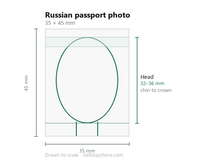 Diagram of a Russian passport photo drawn to scale: 35 × 45 mm, with the head measuring 32 to 36 mm from chin to crown.
