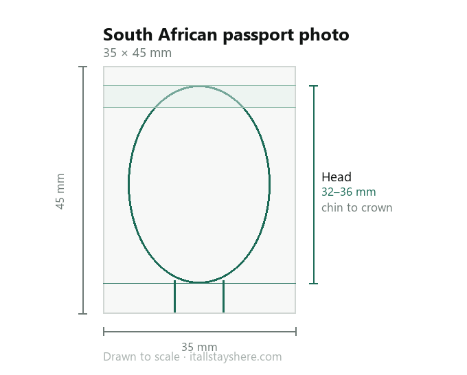 Diagram of a South African passport photo drawn to scale: 35 × 45 mm, with the head measuring 32 to 36 mm from chin to crown.