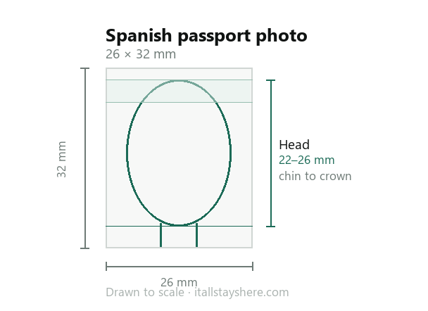 Diagram of a Spanish passport photo drawn to scale: 26 × 32 mm, with the head measuring 22 to 26 mm from chin to crown.
